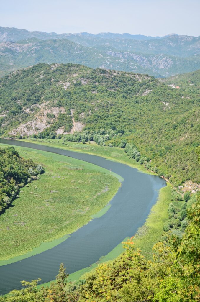 Czarnogóra Jezioro Szkodrskie