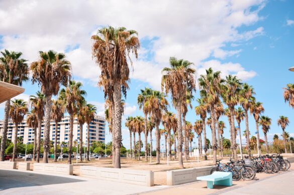 Erasmus w Walencji koszty utrzymania