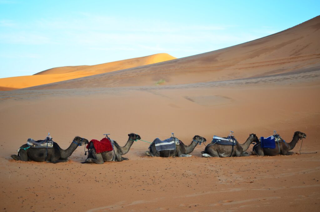 Maroko pustynia