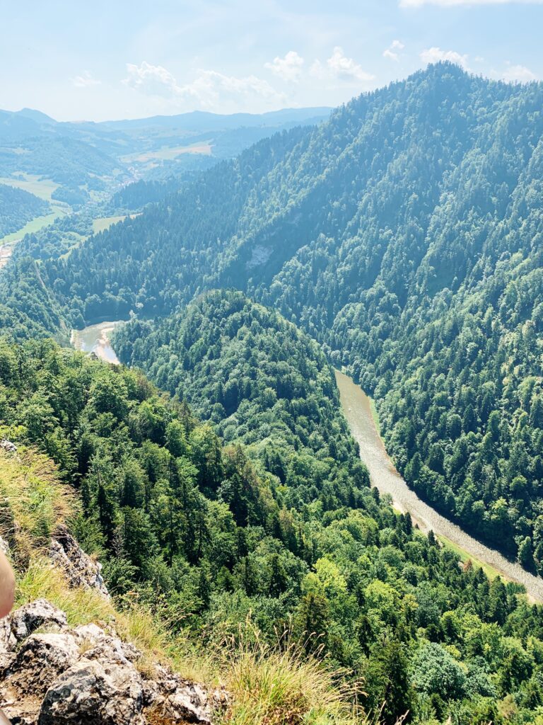 Pieniny widok Sokolica