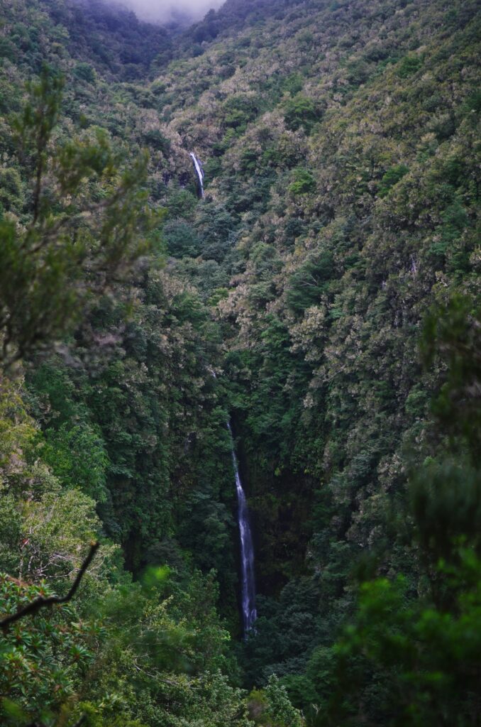 Levada do Caldeirão Verde