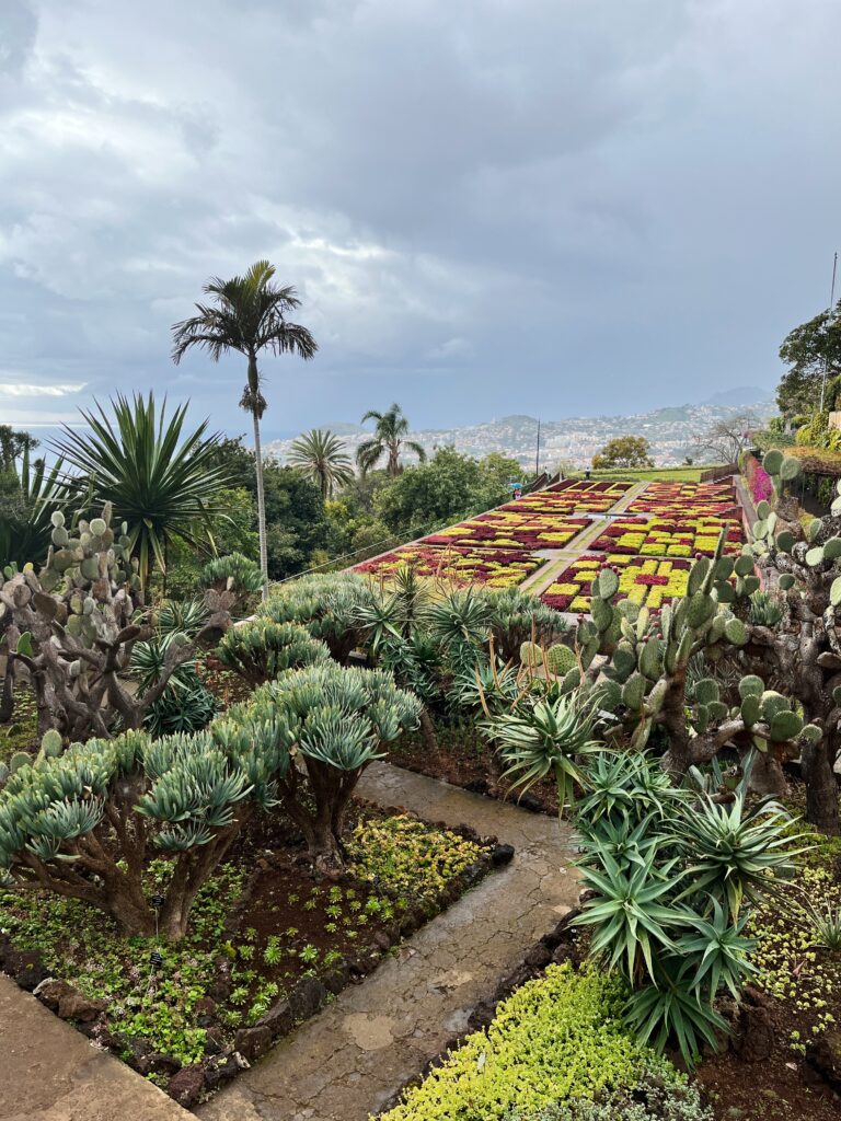 Funchal Madera