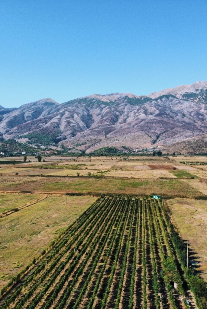 Nocleg w winnicy Albania