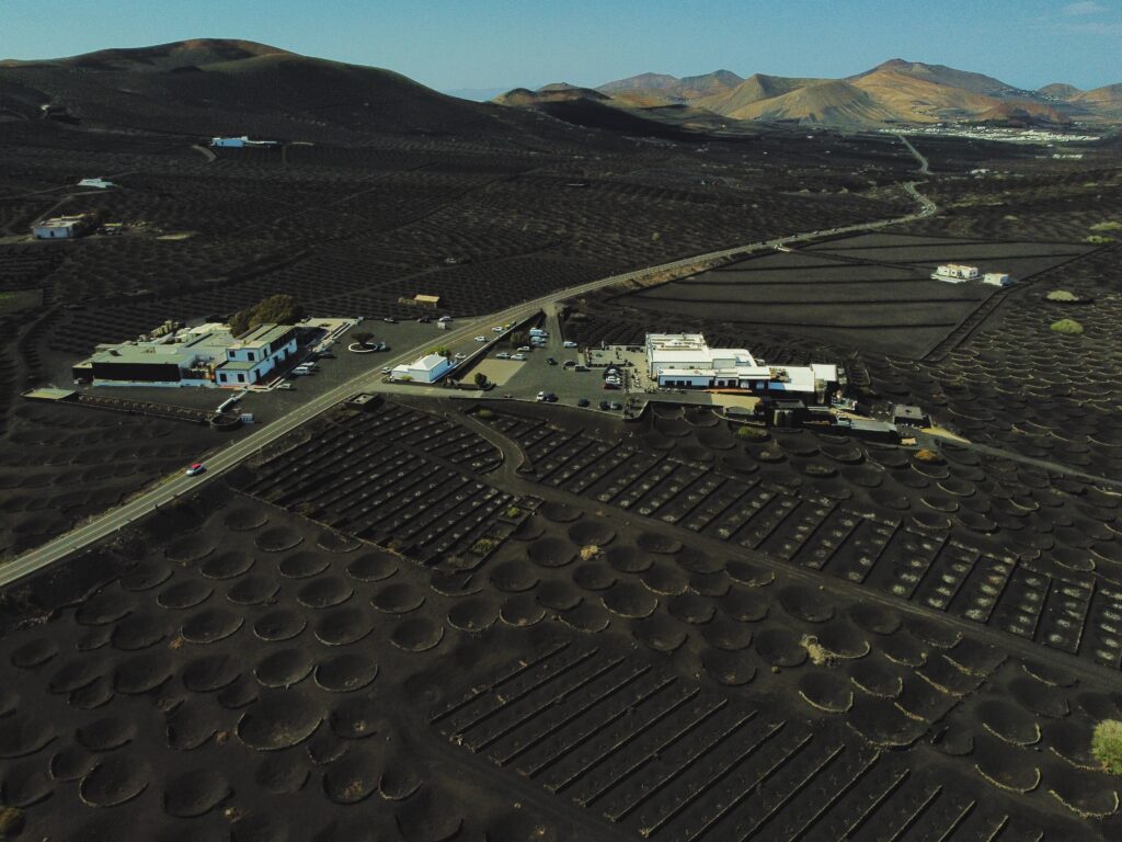 La Geria Lanzarote