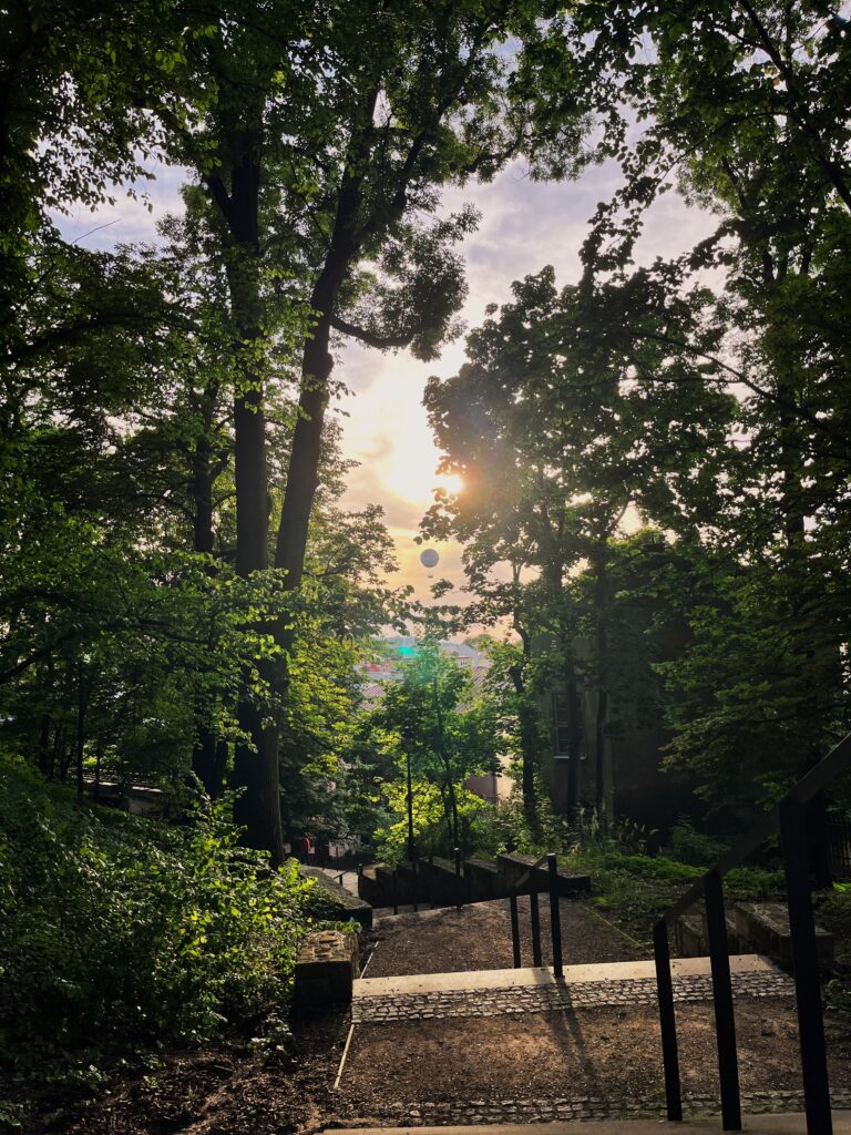 Park Bednarskiego Kraków