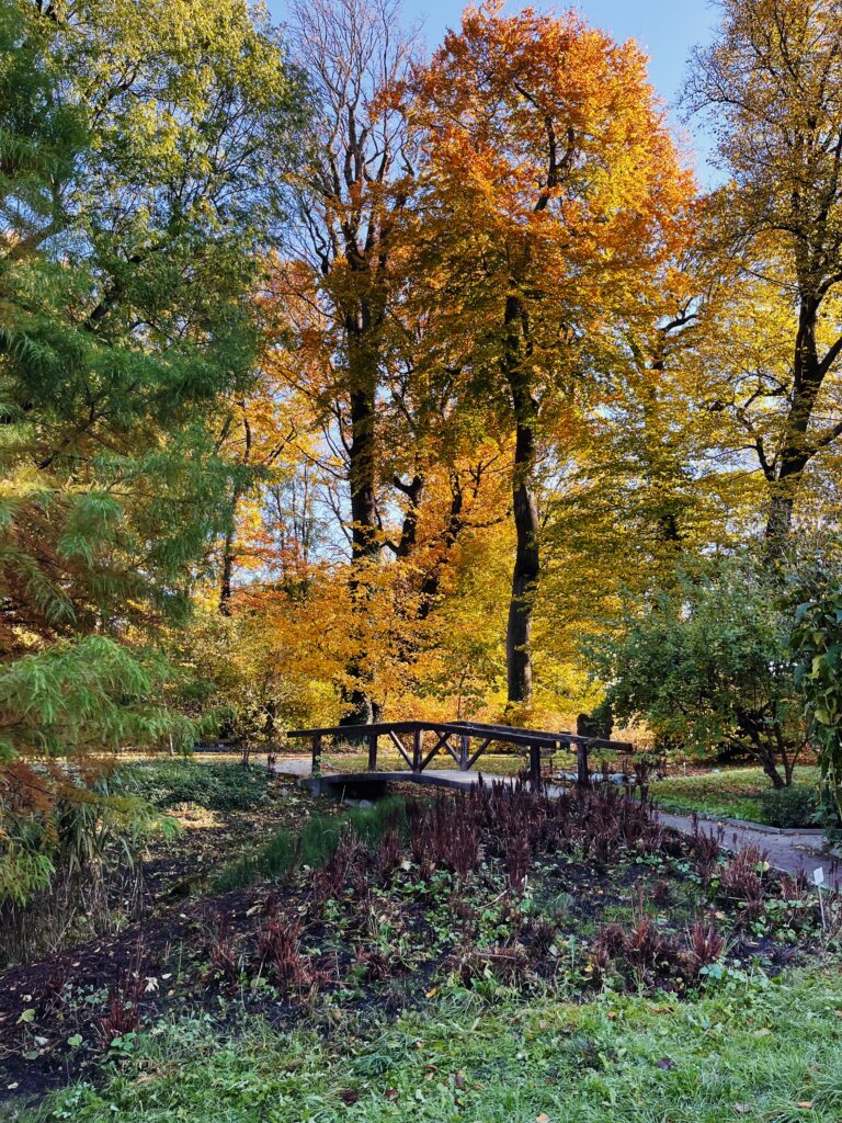 Ogród Botaniczny Kraków