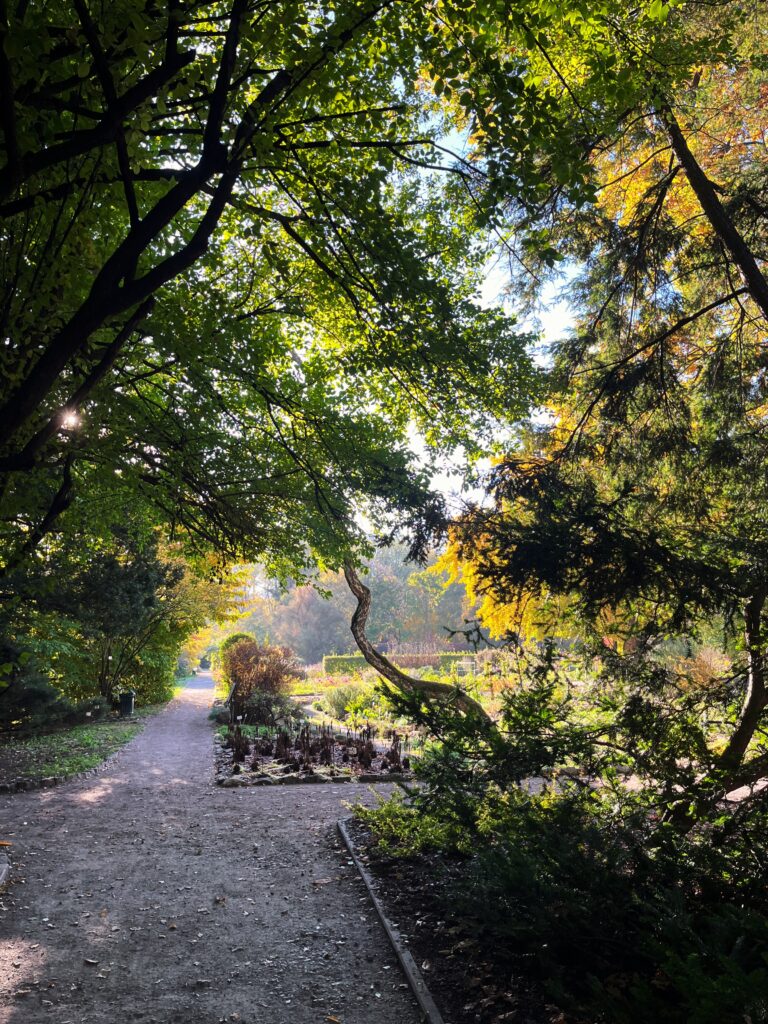Ogród Botaniczny atrakcje Krakowa