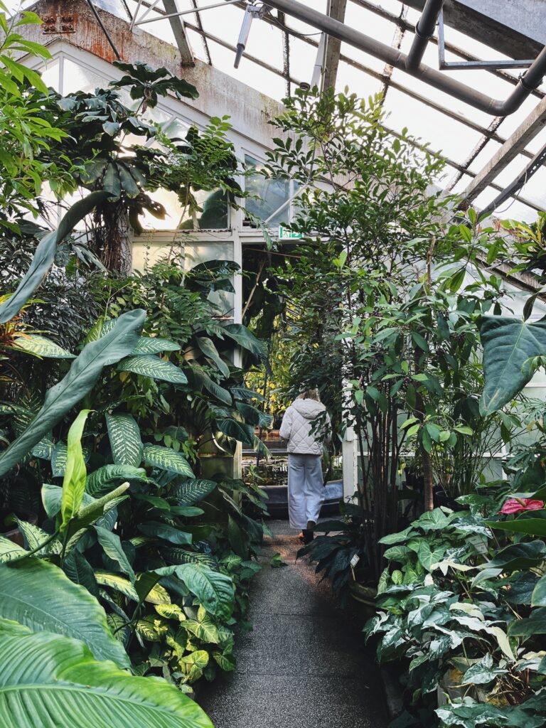 Ogród Botaniczny atrakcje Krakowa