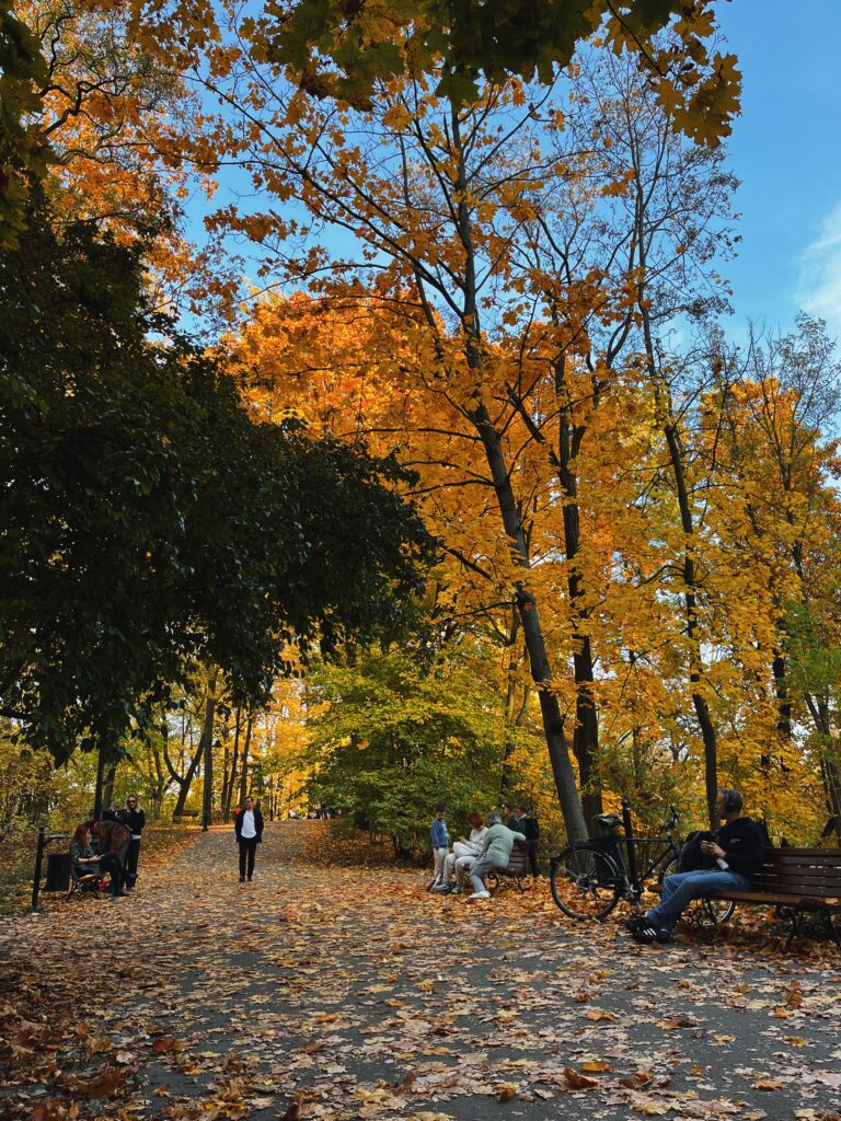Park Bednarskiego w Krakowie