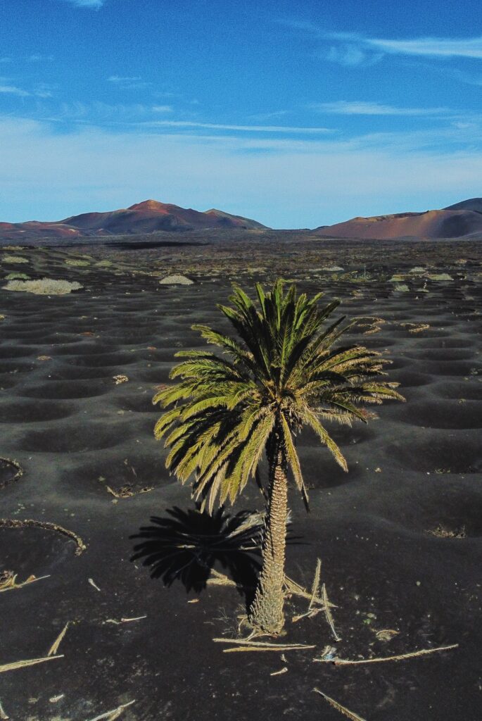 La Geria Lanzarote