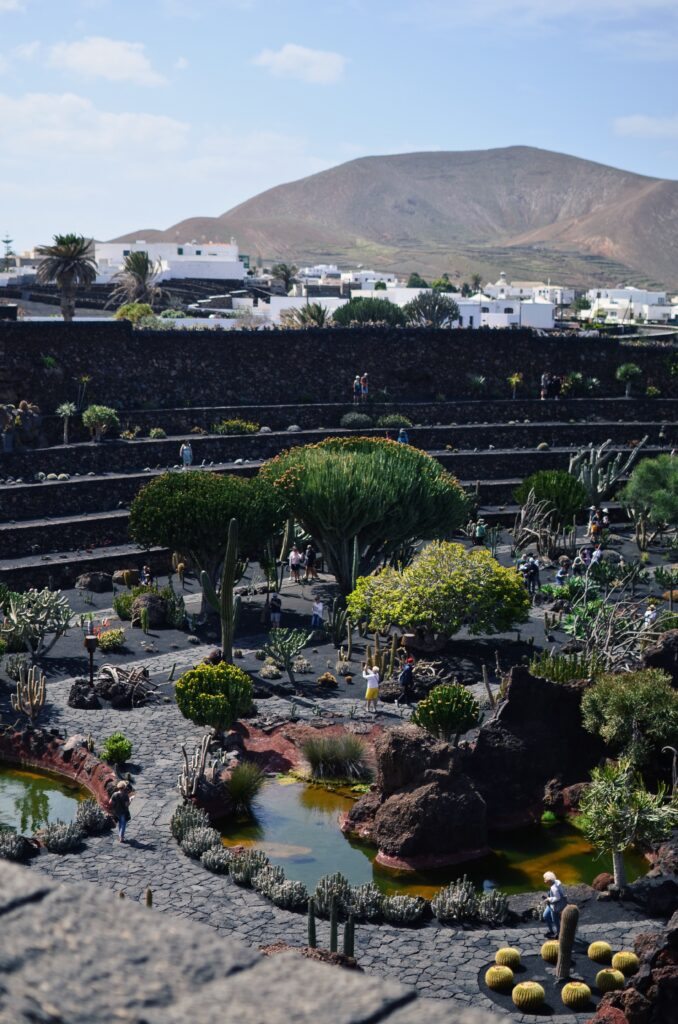 Ogród Kaktusów Lanzarote