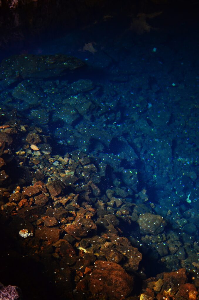 Jamoes del Agua Lanzarote