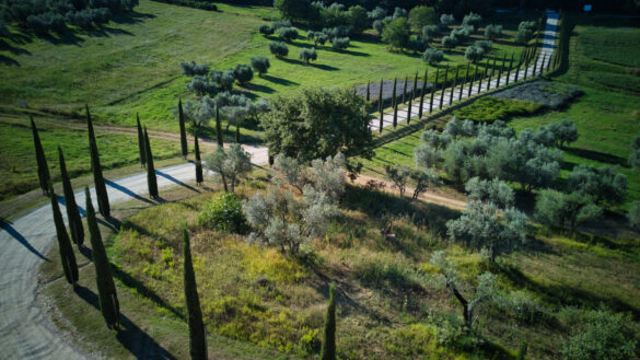 Cyprysowe drogi - Toskania Przewodnik