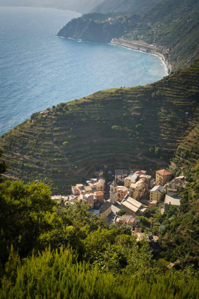 Manarola miasto - Cinque Terre - Toskania Przewodnik