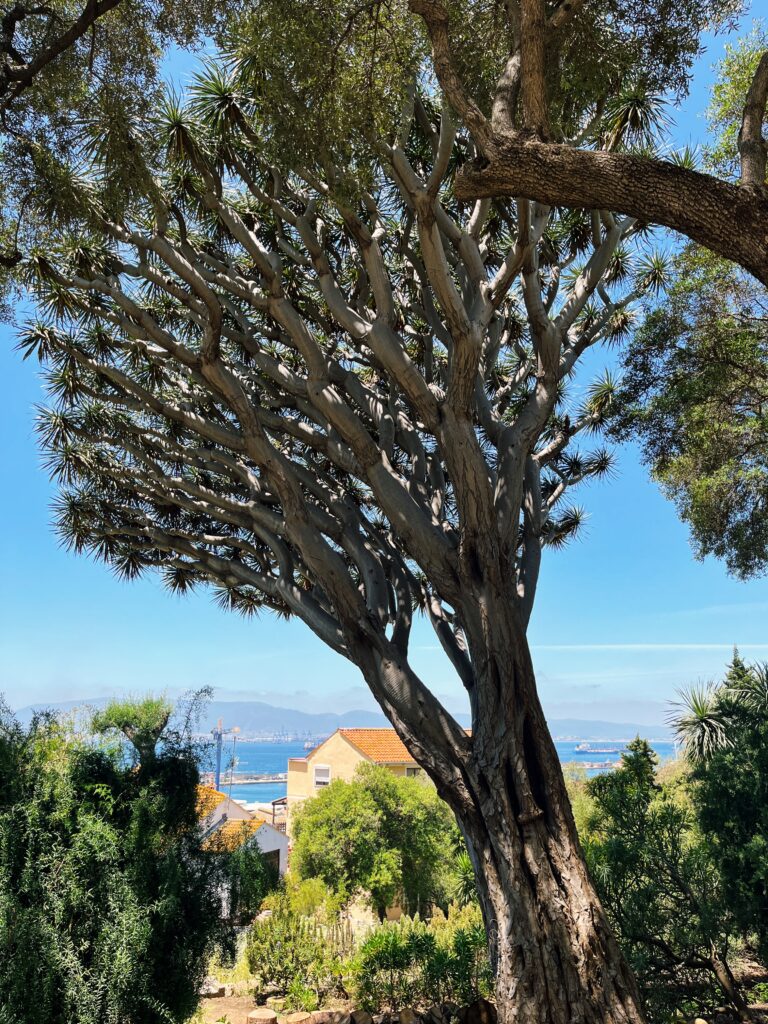 Ogród Botaniczny Alameda