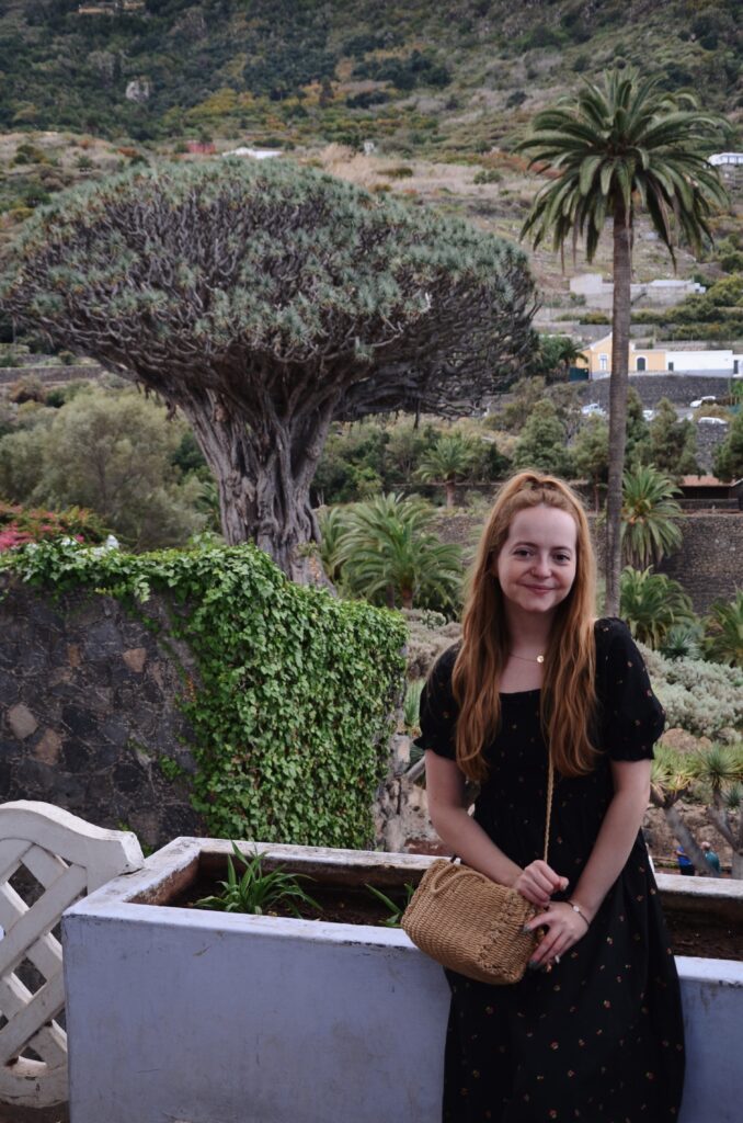 Icod de los Vinos smocze drzewo