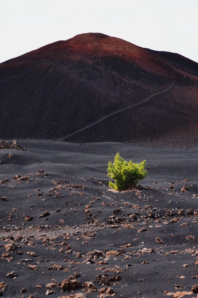 El Chinyero Teneryfa