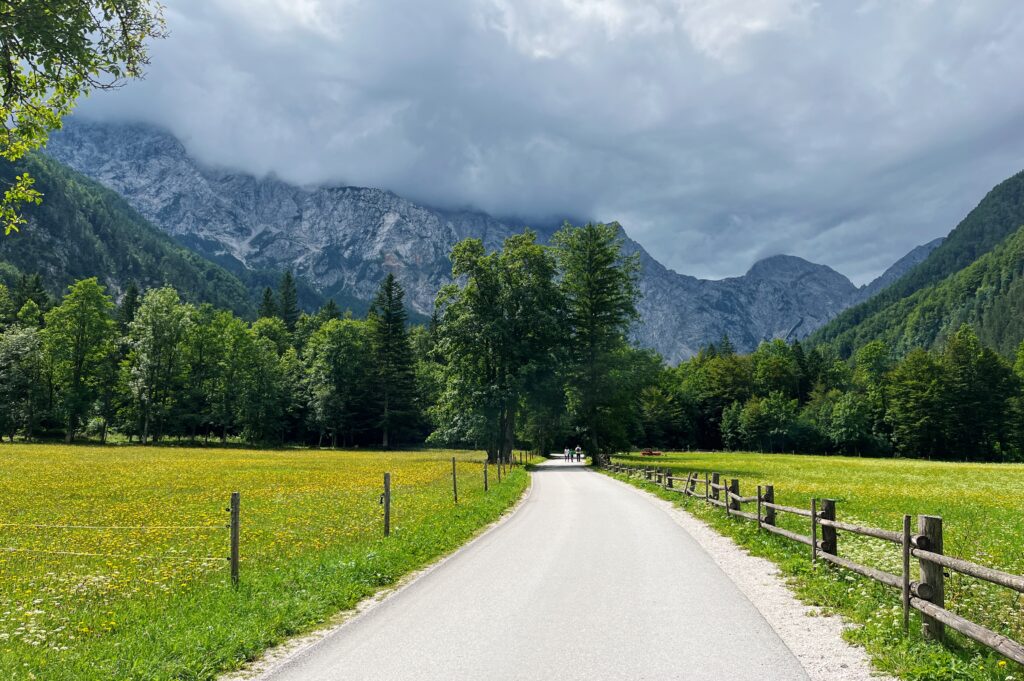 Dolina Logarska