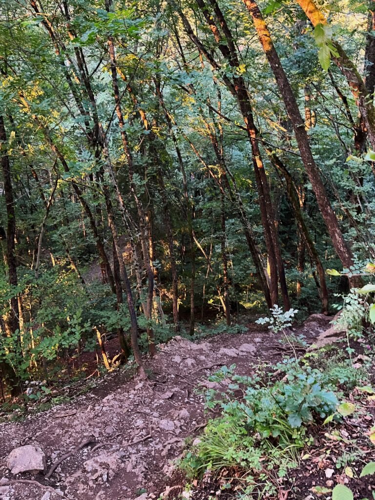Szlak na Ojstrice Jezioro Bled