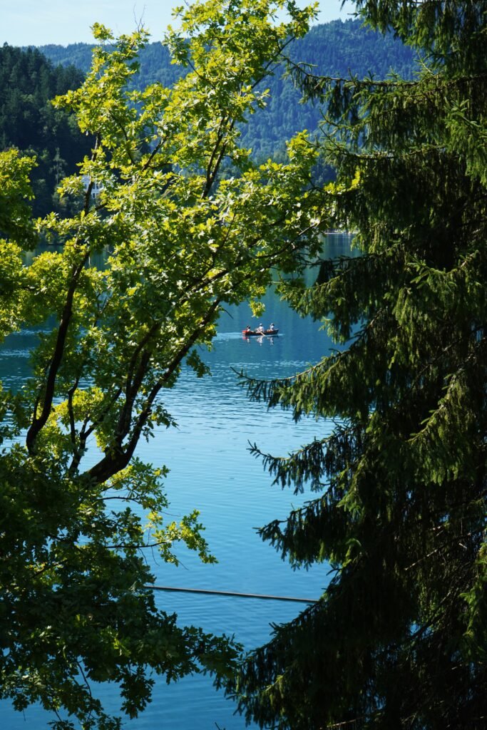 Jezioro Bled