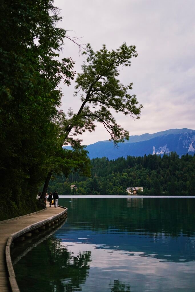 Jezioro Bled wieczorem